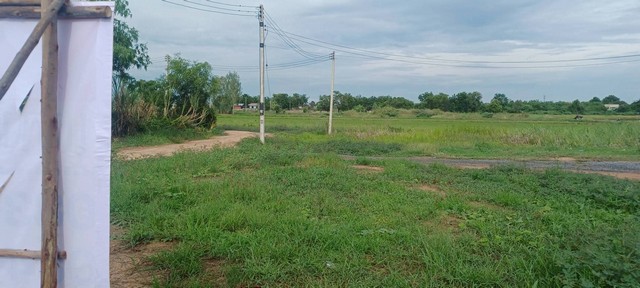 ขายที่ดิน 1 งาน พร้อมโครงสร้างบ้าน ราคาถูก  ซ.ดอนสำโรง  หัวรอ เมืองพิษณุโลก    ZK486