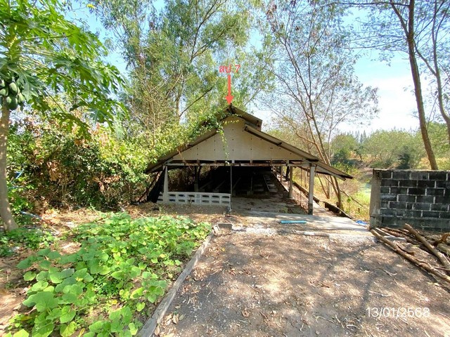 ขายโรงเรือนเลี้ยงสุกร ถ.ฉะเชิงเทรา-สัตหีบ ต.ท่าบุญมี อ.เกาะจันทร์ จ.ชลบุรี