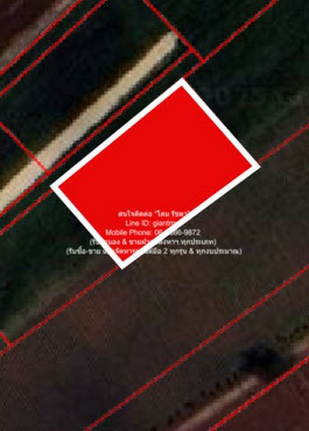 ขายที่ดินไร่สวนทางการเกษตร (ติดถนน และติดเขา) 1-0-0 ไร่ (400 ตร.ว.) ราคา 530,000 บาท (โอนฟรี)