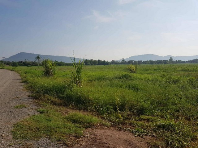 เช่าหรือซื้อยังไงก็คุ้มแน่นอน ขายที่ดินปากช่อง 2ไร่- 8ไร่ โฉนด ต.วังไทร อ.ปากช่อง จ.นครราชสีมา ไร่ละ  2.9 ลบ.สูงจากระดับน้ำทะเลมา น้ำไฟพร้อม