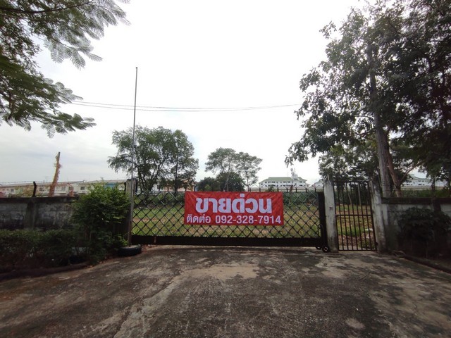 ขายที่ดินเปล่า 1-0-50 ไร่ ลำลูกกาคลองสอง ตรงข้ามโรงเรียนประสานมิตร ใกล้ BTS คูคต 5 กม.