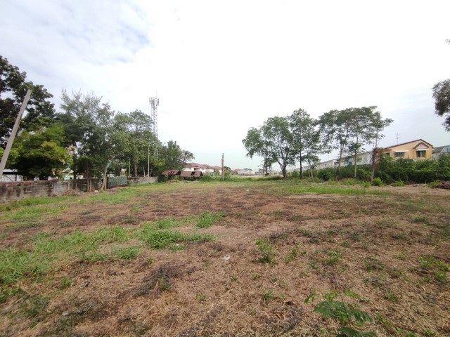 ขายที่ดินเปล่า 1-0-50 ไร่ ลำลูกกาคลองสอง ตรงข้ามโรงเรียนประสานมิตร ใกล้ BTS คูคต 5 กม.