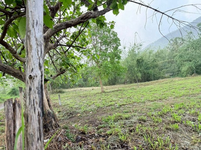 ที่ดินวิวสวย ราคาถูก โซนแม่ออน