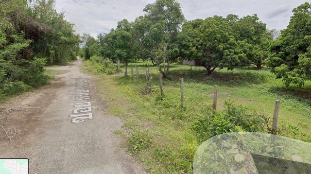 ขายที่ดินเปล่า ขนาด 3 ไร่ 77 ตารางวา ต.หารแก้ว อ.หางดง จังหวัดเชียงใหม่