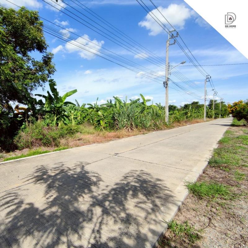 ขายที่ดินเปล่าคลองขวาง ปทุมฯ-บางเลน เนื้อที่ 29 ไร่ 2 งาน 90 ตารางวา (DD002075)