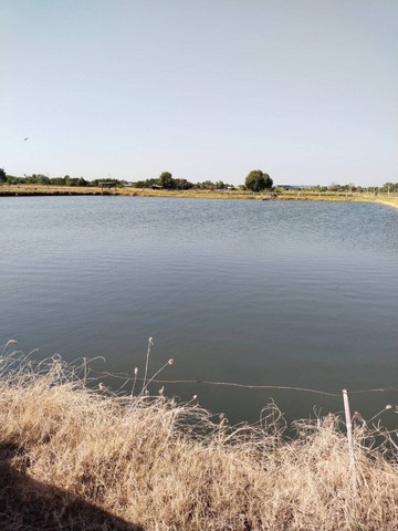 ขายบ้านเดี่ยวมือสอง อำเภอสามพราน จังหวัดนครปฐม โครงการ ปภาวรินทร์ เดอะเซเว่น