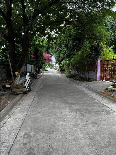 ขายที่ดิน 145 ตรว. ย่าน สุขุมวิท 101 ปุณณวิถี 43 เหมาะสร้างบ้าน สำนักงาน หรือลงทุน