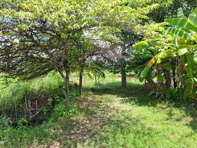 ขายที่ดินติดถนน หนองคายโพนพิสัย 7-0-93 ไร่  บ้านเดื่อ เมืองหนองคาย   ZP182