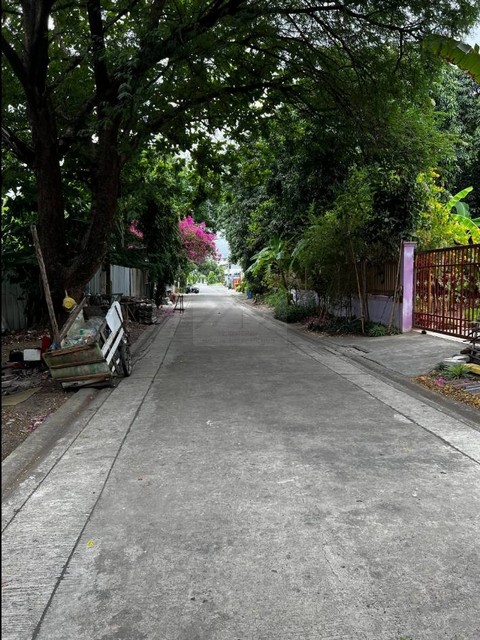 ขายที่ดิน 145 ตารางวา สุขุมวิท 101 ปุณณวิถี 43 เหมาะสร้างบ้าน สำนักงาน หรือลงทุน