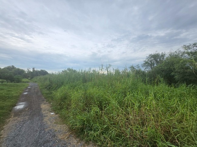 sss501 ขายที่ดิน คลอง 1 รังสิต ใกล้โรงเรียนจารุศรณ์และโรงเรีนยธรรมศาสตร์เฉลิมพระเกียรติ