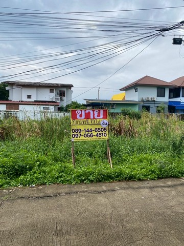 ขายที่ดิน 100 ตารางวา  สวัสดิการ2 ซอย18 ถนนเพชรเกษม ซอย77    ZJ169