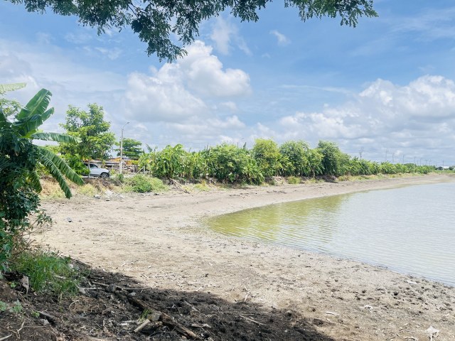 ขายที่ดินเปล่ารวมแปลง ขนาด 7 ไร่ 1 งาน 2 ตรว.ขายบนทำเลทอง หลังวัดศรีวารีน้อย บางเสาธง สมุทรปราการ  รีบซื้อก่อนปรับราคา  ติดถนนลาดยาง