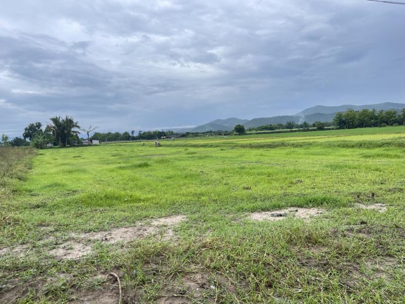 ขายที่ดินเปล่า พื้นที่สีเขียว แนวสนามบินเชียงใหม่แห่งใหม่