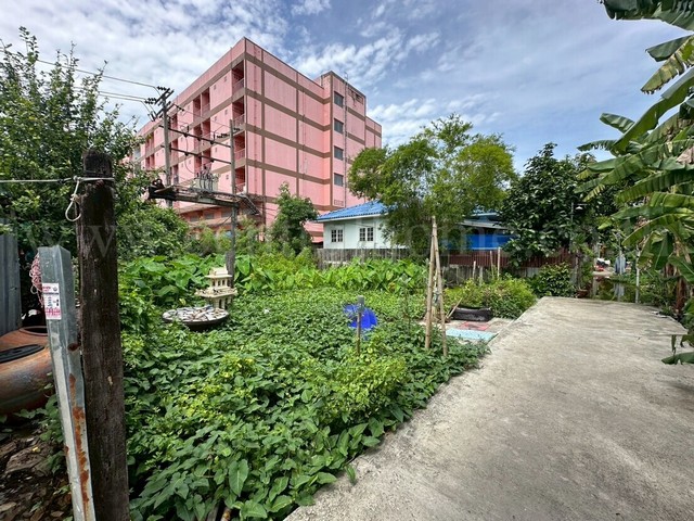 ที่ดินเปล่า 59 ตร.วา ซอยพิบูลสงคราม 22 ใกล้ MRT แยกติวานนท์