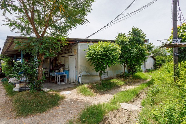 [ขาย] ที่ดินติดบายพาส ทล.361 | บ้านสวน ชลบุรี | 3 ไร่ 2 งาน | มีรายได้ 250,000/ปี | 69 ล้าน