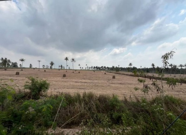 ขายที่ดินเปล่าแปลงสวย โซนเขาไม้แก้ว บางละมุง ชลบุรี ติดถนนเส้น 331 FP-L0869 