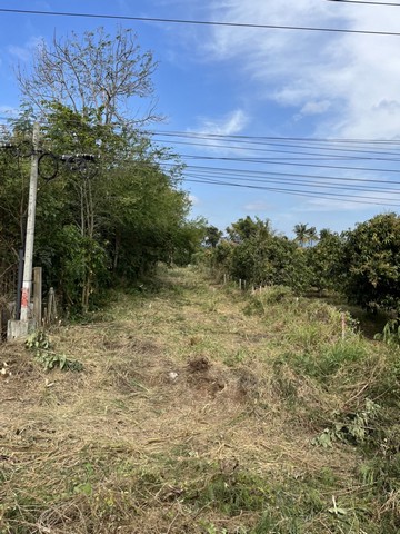 ขายที่ดินสวย ทำเลทอง เขาใหญ่ 50 ไร่ อำเภอปากช่อง จังหวัดนครราชสีมา ราคาไร่ละ 1.5 ล้านบาทเท่านั้น