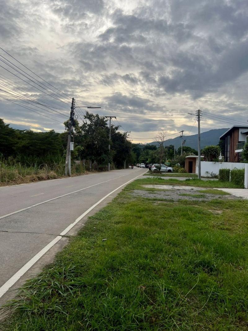 ขายที่ดินยกแปลง ตรว.ละ 28,000 บาท #แม่เหียะ #ใกล้พืชสวนโลก–#ดอยคำ ที่ดินสวย ทำเลทอง ราคาดีในย่านนี้ หาไม่ได้บ่อย