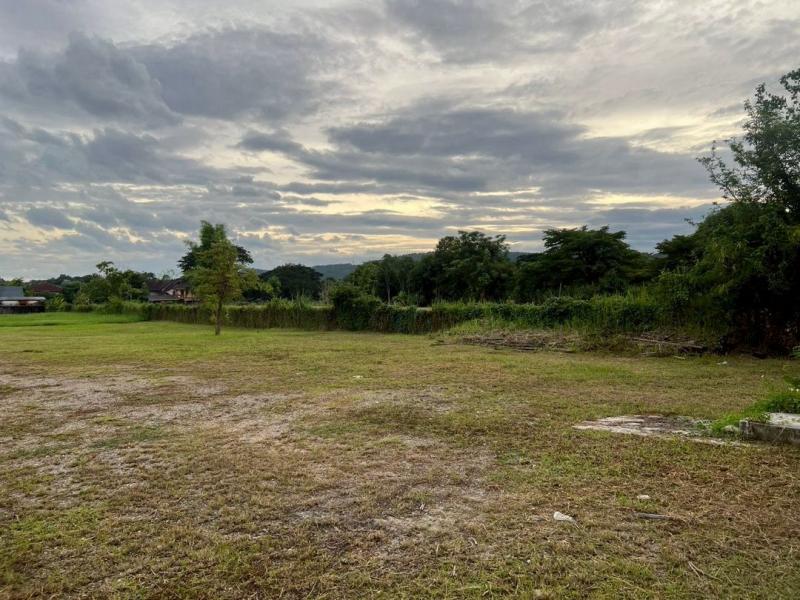 ขายที่ดินยกแปลง ตรว.ละ 28,000 บาท #แม่เหียะ #ใกล้พืชสวนโลก–#ดอยคำ ที่ดินสวย ทำเลทอง ราคาดีในย่านนี้ หาไม่ได้บ่อย