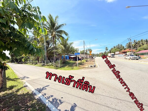  ขาย:ที่ดิน สวย ทำเลทอง โอกาสดี ทำเลทอง ที่ดินติดริมหาดทะเลสวย บ้านบาเฆะ ต.โคกเคียน อ.เมือง จ.นราธิวาส 