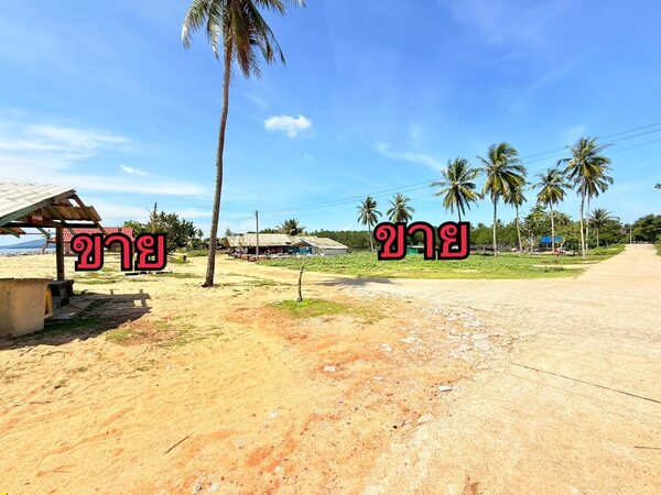 ขาย:ที่ดิน สวย ทำเลทอง โอกาสดี ทำเลทอง ที่ดินติดริมหาดทะเลสวย บ้านบาเฆะ ต.โคกเคียน อ.เมือง จ.นราธิวาส