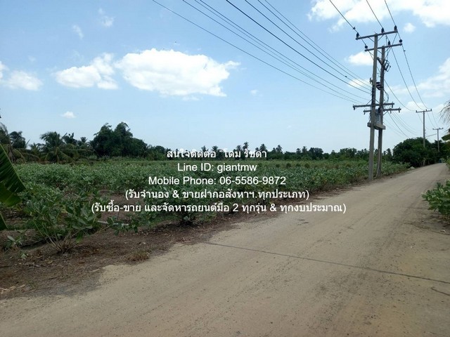 พื้นที่ดิน ขายที่ดินทางการเกษตร (ต้นดอกรัก) อ.นครชัยศรี นครปฐม 4-1-67 ไร่ ราคา 8,835,000 บาท  67 ตาราง.วา 1 ngan 4 ไร่    ทำเลเด่น นครปฐม