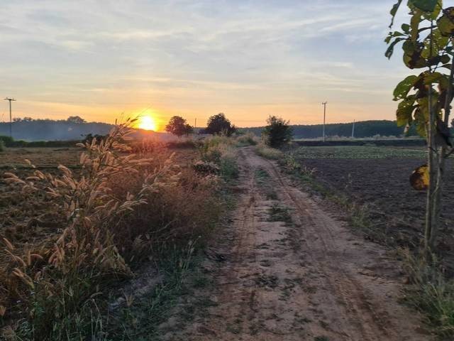 เช่าหรือซื้อยังไงก็คุ้ม  ที่ติดแม่น้ำโขง ต.กุดบง อ.โพนพิสัย จ.หนองคาย  หลังติดแม่น้ำโขง ไร่ละ 2ล้านบาท โทร 096-882-1857