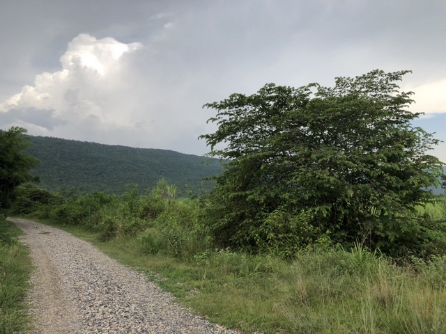 เช่าหรือซื้อยังไงก็คุ้ม ขายที่ดินสวยติดภูเขา เทือกเขายาวเรียงแนว ดินดีสมบูรณ์ทรัพย์ในดิน ฟ้าใสวิวหลักล้าน ต.นาจาน อ.สีชมพู จ.ขอนแก่น 