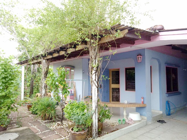 ใกล้สุวรรณภูมิ 2นอน เฟอร์ครบ! 2จอดรถ กิ่งแก้ว35-55 ให้เช่าบ้านเดี่ยว  1น้ำ รับสัตว์ 60 ตรว. 240 ตรม.