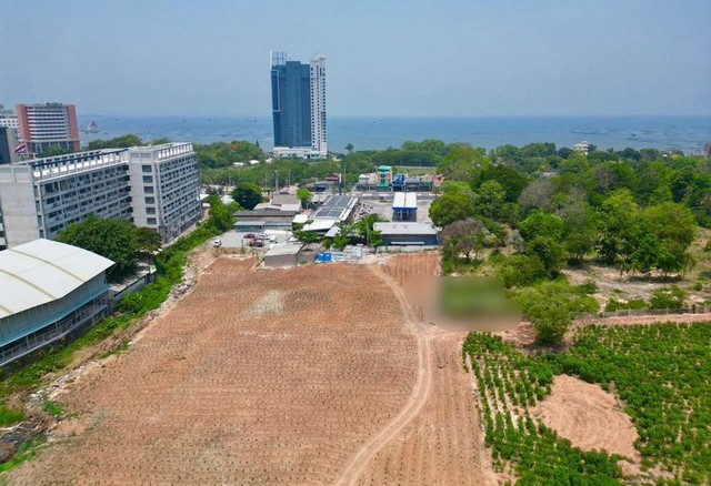 ที่ดินทำเลทอง! สุขุมวิทศรีราชา ตรงข้ามเซ็นทรัล ที่ดินสวย 24ไร่ TP-L1444