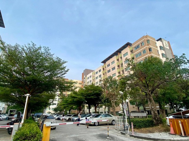 เดอะไรส์บี อาคาร 1  หลังเซ็นทรัล ชลบุรี ต.เสม็ด อ.เมืองชลบุรี จ.ชลบุรี