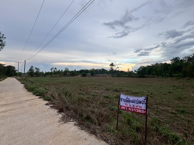 ที่สวยมาก ตรงข้ามโรงเรียนบ้านหนองช้าง ตรงเข้าไป 500 เมตร 15 ไร่ 3 งาน ต.หนองช้างใหญ่ อ.ม่วงสามสิบ จ.อุบลราชธานี