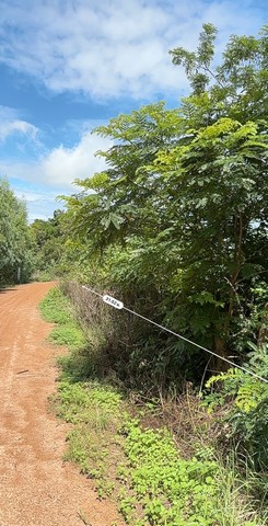 ที่สวยมาก ตรงข้ามโรงเรียนบ้านหนองช้าง ตรงเข้าไป 500 เมตร 15 ไร่ 3 งาน ต.หนองช้างใหญ่ อ.ม่วงสามสิบ จ.อุบลราชธานี