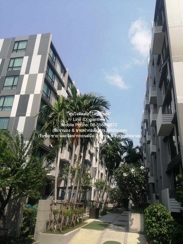 CONDO. เอสต้า บลิซ รามอินทรา ESTA BLISS RAMINTRA 2 Bedroom 3500000 บาท. ไม่ไกลจาก รามอินทรา 88 ราคาดีเยี่ยม เป็นคอนโดพร้อมอยู่ มีการตกแต่งภายในเพิ่มเติมได้แบบเรียบหรู และมีทำเลสวยสามารถมองเห็นวิวเมือง พร้อมพื้นที่ส่วนกลาง และสิ่งอำนวยความสะดวกครบครัน