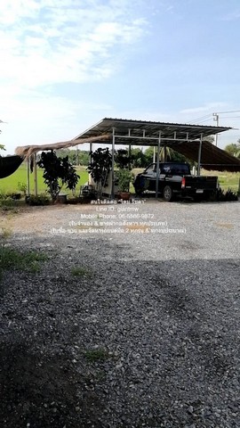 รหัส:  DSL-1102 Sale บ้าน ขายที่ดินติดถนน มีบ้านสวนผลไม้ มีบ่อปลา และมีโกดังเก็บของ พร้อมโรงจอดรถ 1-3-79 ไร่ ต.บึงน้ำรักษ์ อ.บางน้ำเปรี้ยว จ.ฉะเชิงเทรา ราคา 3.5 ล้านบาท ใกล้ วัดบึงน้ำรักษ์ 3500000 THAI BAHT 1BEDROOM พื้นที่ =  1 Rai 3 Ngan 79 Square