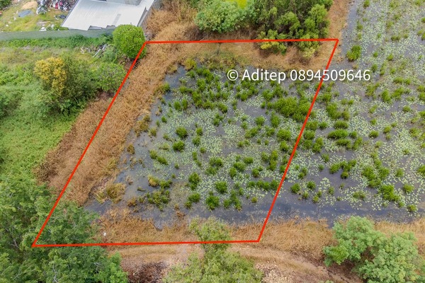 ขายด่วน! ที่ดินเปล่า 317 ตร.ว. คลองโยง-พุทธมณฑล ราคาดีใกล้เคียงราคาประเมิน ใกล้มหิดล ศาลายา เดินทางเข้ากรุงเทพาะดวก!