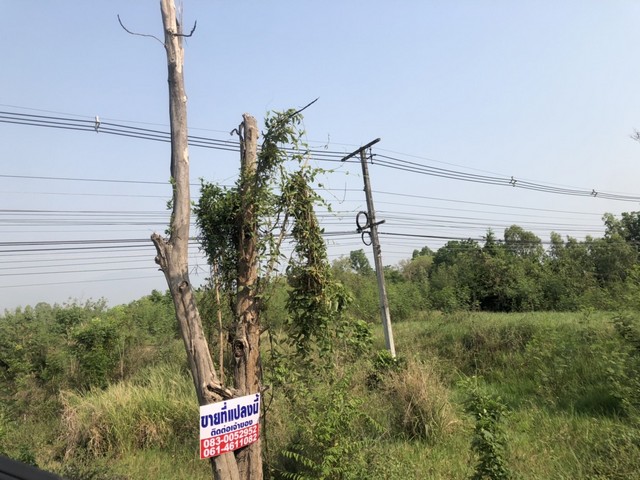 หาที่สวยวิวดีเงื่อนไขสบาย  เมืองบ้านตากจังหวัดตาก  3-1-40 ไร่ ติดถนนเอเซีย AH1 ติดถนนพหลโยธิน ไร่ 3ลบ. โทร 096-8821857