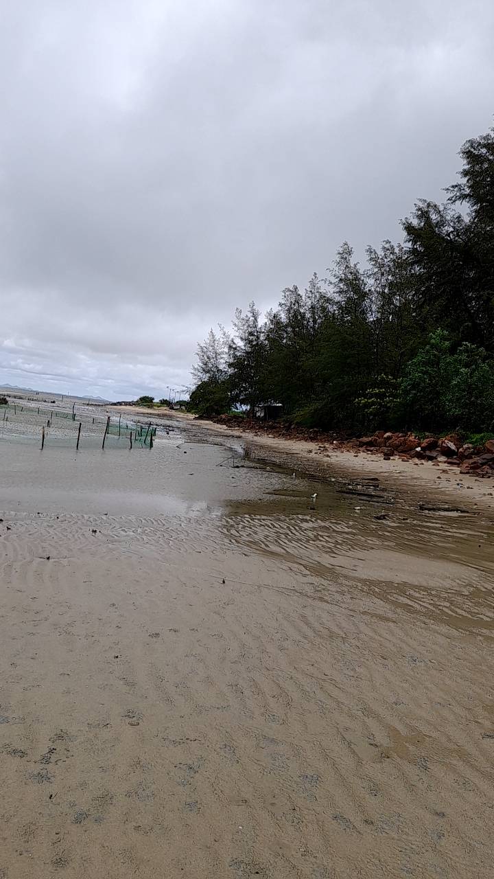 ขายเกาะและที่ดินติดชายหาดส่วนตัว 23 ไร่ ที่แหลมกลัด จ.ตราด ราคาสุดคุ้มเพียง 92 ล้านบาท