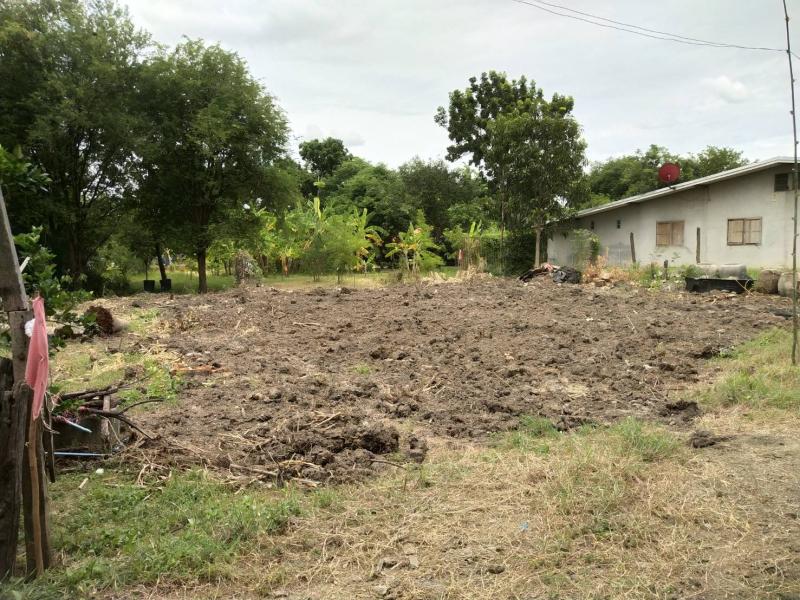 ขายที่ดินทำเลทอง ต.หนองดินแดง อ.เมืองจ.นครปฐม