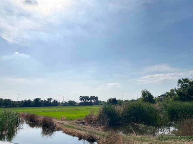 ที่ดิน 22-3-84 ไร่ ต.ลำตาเสา ถ.โรจนะ จ.พระนครศรีอยุธยา ใกล้ ด่านวังน้อย ,มอเตอร์เวย์ตัดใหม่ ,ตลาดสี่ขวาพัฒนา