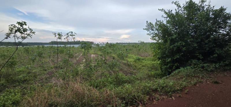 ขายที่ดินแปลงใหญ่ 35 ไร่ 17ตารางวา ผังสีม่วง เหมาะสำหรับโรงงาน