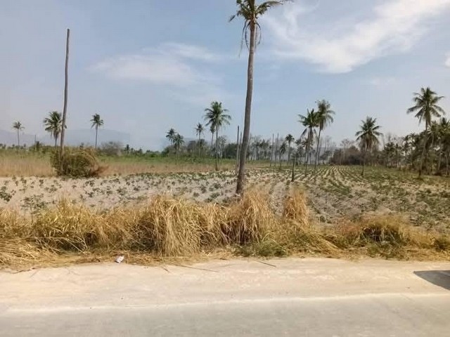 ขายที่ดินศรีราชาชลบุรี ขายที่ดินเนื้อที่ 10-3-10ไร่ผัง สีเหลืองอ่อนห่างท่าเรือแหลมฉบัง 26 กม.