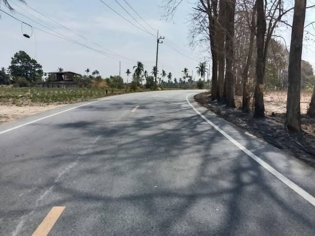 ขายที่ดินศรีราชาชลบุรี ขายที่ดินเนื้อที่ 10-3-10ไร่ผัง สีเหลืองอ่อนห่างท่าเรือแหลมฉบัง 26 กม.