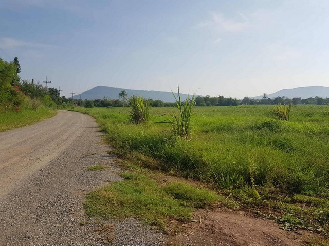 หาที่สวยทรัพย์ดีเงื่อนไขสบาย ขายที่ดินปากช่อง 2ไร่- 8ไร่ โฉนด ต.วังไทร อ.ปากช่อง จ.นครราชสีมา ไร่ละ  2.9 ลบ.สูงจากระดับน้ำทะเลมา น้ำไฟพร้อม