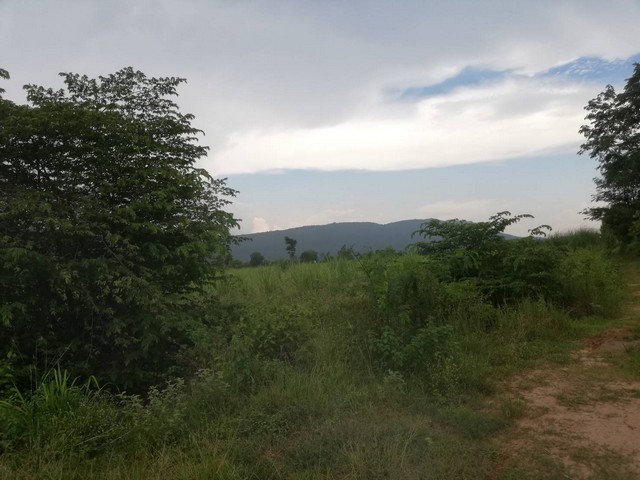 หาที่สวยวิวดีเงื่อนไขสบาย  ขายที่ดินสวยติดภูเขา เทือกเขายาวเรียงแนว ดินดีสมบูรณ์ทรัพย์ในดิน ฟ้าใสวิวหลักล้าน ต.นาจาน อ.สีชมพู จ.ขอนแก่น 