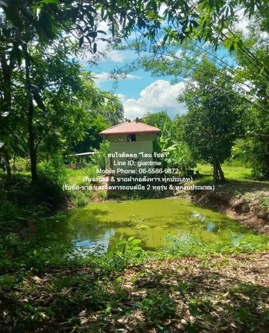 บ้าน ขายบ้าน 2 หลัง ร้านค้า พร้อมที่ดิน 3-2-78.1 ไร่ (ติดถนนใหญ่) ต.วอแก้ว อ.ห้างฉัตร จ.ลำปาง ราคา 3.5 ล้านบาท  ขนาดพื้นที่ 3 RAI 2 งาน 78 ตารางวา 3500000 thb   สะดวกต่อการเดินทาง เป็นบ้านสวนพร้อมที่ดินขนาดพอเหมาะ ที่ราคาไม่แพง ติดถนนใหญ่ มีระบบสาธาร