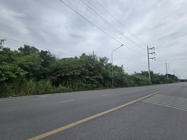 ขายที่ดินเปล่า 8-3-73.3 ไร่ ถนนสวนพริกไทย แยกตึกเหลือง เมืองปทุมธานี ใกล้วัดเสด็จ