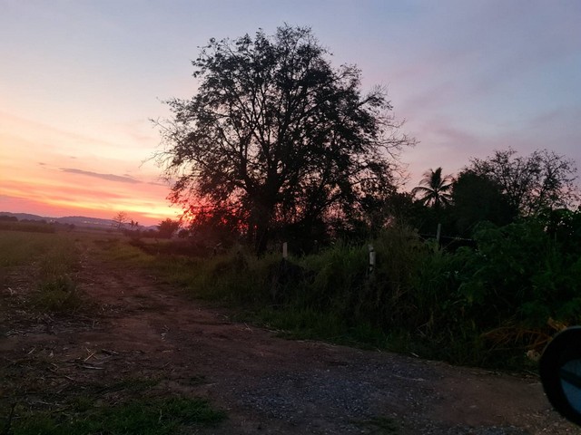 ตุนทรัพย์เก็บขายเก็งกำไร ขายที่ดินปากช่อง 2ไร่- 8ไร่ โฉนด ต.วังไทร อ.ปากช่อง จ.นครราชสีมา ไร่ละ  2.9 ลบ.สูงจากระดับน้ำทะเลมา น้ำไฟพร้อม