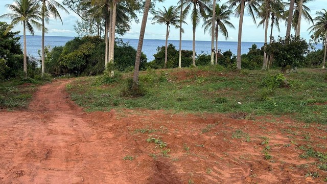 ตุนทรัพย์เก็บขายเก็งกำไร  ขายที่ดิน 4 ไร่ๆละ 2.8-3.5ล้านบาท ค่าใช้จ่ายในการโอน 50/50