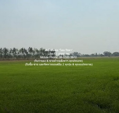 ที่ดิน //ต่ำกว่าราคาประเมิน//ขายที่ดินทุ่งนาข้าว อ.นครหลวง จ.พระนครศรีอยุธยา 17-0-76 ไร่ ราคา 3 ล้านบาท  3000000 BAHT  พื้นที่ 6876 ตารางวา   ทำเลดี-เยี่ยม